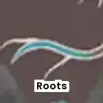 Roots