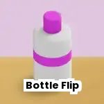 Bottle Flip