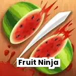 Fruit Ninja