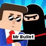 Mr Bullet