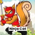 Ninja Cat