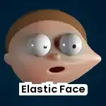 Elastic Face